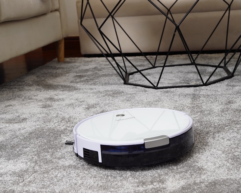Vacuum Cleaner (Robotic or Upright)